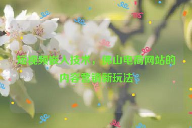 短視頻嵌入技術，佛山電商網(wǎng)站的內(nèi)容營銷新玩法
