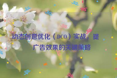 動態(tài)創(chuàng)意優(yōu)化（DCO）實戰(zhàn)，提升廣告效果的關(guān)鍵策略