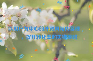 以用戶為中心的外貿網站內容規(guī)劃，提升轉化率的關鍵策略