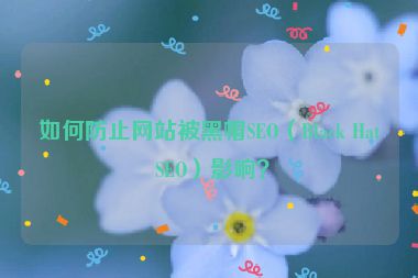 如何防止網(wǎng)站被黑帽SEO（Black Hat SEO）影響？