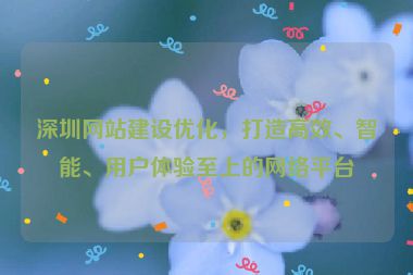 深圳網(wǎng)站建設(shè)優(yōu)化，打造高效、智能、用戶體驗至上的網(wǎng)絡(luò)平臺
