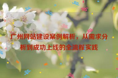 廣州網(wǎng)站建設(shè)案例解析，從需求分析到成功上線的全流程實(shí)踐