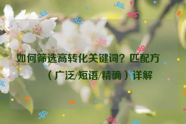 如何篩選高轉(zhuǎn)化關(guān)鍵詞？匹配方式（廣泛/短語/精確）詳解