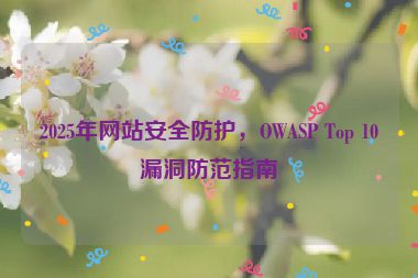 2025年網(wǎng)站安全防護(hù)，OWASP Top 10漏洞防范指南