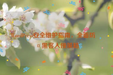 WordPress安全維護指南，全面防護黑客入侵策略