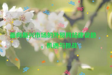 面向新興市場(chǎng)的外貿(mào)網(wǎng)站建設(shè)趨勢(shì)，機(jī)遇與挑戰(zhàn)