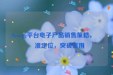 Newegg平臺電子產(chǎn)品銷售策略，精準定位，突破重圍