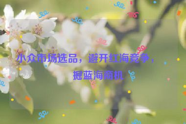 小眾市場選品，避開紅海競爭，挖掘藍(lán)海商機(jī)