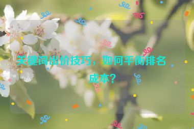 關(guān)鍵詞出價技巧，如何平衡排名和成本？