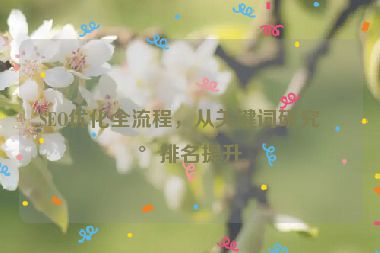 SEO優(yōu)化全流程，從關鍵詞研究到排名提升