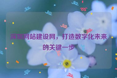 深圳網(wǎng)站建設(shè)網(wǎng)，打造數(shù)字化未來的關(guān)鍵一步