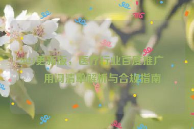 2024更新版，醫(yī)療行業(yè)百度推廣禁用詞清單解析與合規(guī)指南
