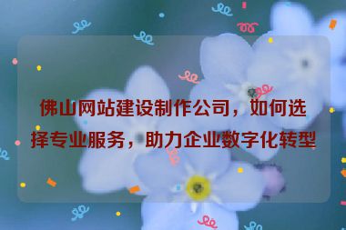 佛山網(wǎng)站建設(shè)制作公司，如何選擇專業(yè)服務(wù)，助力企業(yè)數(shù)字化轉(zhuǎn)型
