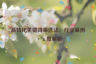高轉(zhuǎn)化關(guān)鍵詞篩選法，行業(yè)案例深度解析