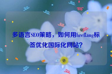 多語言SEO策略，如何用hreflang標簽優(yōu)化國際化網(wǎng)站？