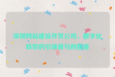 深圳網(wǎng)站建設(shè)開發(fā)公司，數(shù)字化轉(zhuǎn)型的引領(lǐng)者與創(chuàng)新者