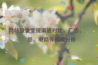 網(wǎng)站流量變現(xiàn)渠道對比，廣告、會員、電商等模式分析