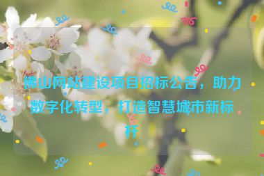 佛山網(wǎng)站建設(shè)項目招標(biāo)公告，助力數(shù)字化轉(zhuǎn)型，打造智慧城市新標(biāo)桿