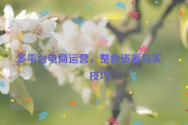 多平臺(tái)電商運(yùn)營，整合資源與實(shí)戰(zhàn)技巧