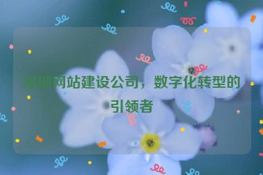 深圳網(wǎng)站建設(shè)公司，數(shù)字化轉(zhuǎn)型的引領(lǐng)者