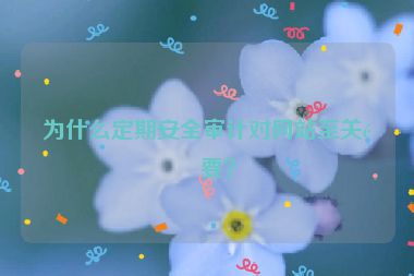 為什么定期安全審計對網(wǎng)站至關(guān)重要？