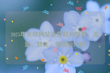 2025年全球網(wǎng)站運(yùn)營趨勢(shì)報(bào)告，流量、轉(zhuǎn)化、變現(xiàn)新方向