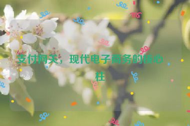 支付網(wǎng)關(guān)，現(xiàn)代電子商務(wù)的核心支柱