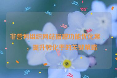 非營(yíng)利組織網(wǎng)站捐贈(zèng)功能優(yōu)化案例，提升轉(zhuǎn)化率的關(guān)鍵策略