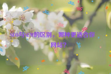 SEO與SEM的區(qū)別，哪種更適合你的網站？