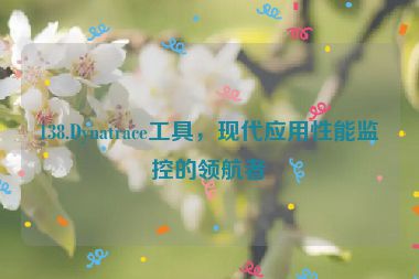138.Dynatrace工具，現(xiàn)代應(yīng)用性能監(jiān)控的領(lǐng)航者