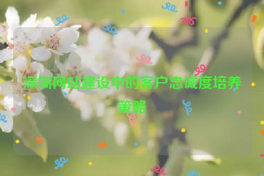 深圳網(wǎng)站建設(shè)中的客戶忠誠度培養(yǎng)策略