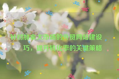 針對(duì)加拿大市場(chǎng)的外貿(mào)網(wǎng)站建設(shè)技巧，提升轉(zhuǎn)化率的關(guān)鍵策略
