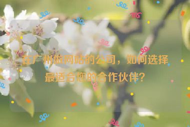 在廣州做網(wǎng)站的公司，如何選擇最適合您的合作伙伴？
