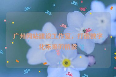 廣州網(wǎng)站建設(shè)工作室，打造數(shù)字化未來的橋梁