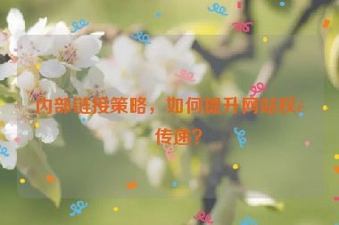 內部鏈接策略，如何提升網(wǎng)站權重傳遞？