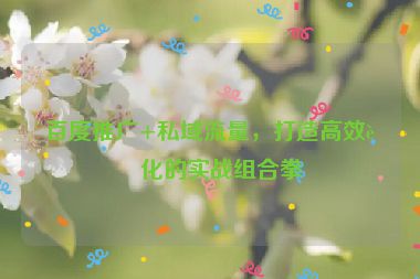 百度推廣+私域流量，打造高效轉化的實戰(zhàn)組合拳