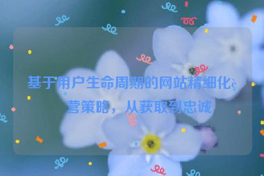 基于用戶生命周期的網(wǎng)站精細(xì)化運(yùn)營(yíng)策略，從獲取到忠誠(chéng)