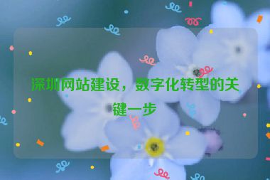 深圳網(wǎng)站建設(shè)，數(shù)字化轉(zhuǎn)型的關(guān)鍵一步