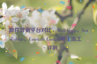 郵件營(yíng)銷(xiāo)平臺(tái)對(duì)比，Mailchimp、Sendinblue、Constant Contact等主流工具評(píng)測(cè)