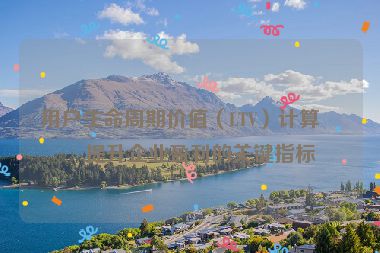 用戶生命周期價值（LTV）計算，提升企業(yè)盈利的關(guān)鍵指標