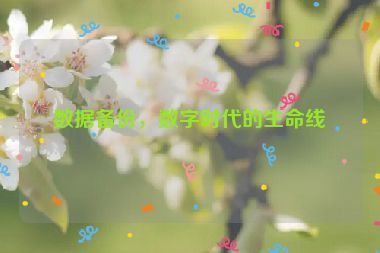 數(shù)據(jù)備份，數(shù)字時(shí)代的生命線