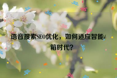 語音搜索SEO優(yōu)化，如何適應(yīng)智能音箱時代？