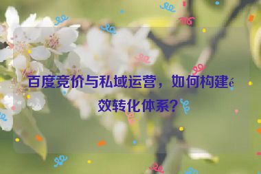 百度競價與私域運營，如何構(gòu)建長效轉(zhuǎn)化體系？