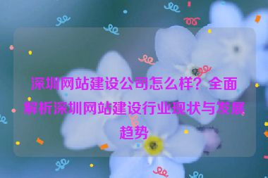 深圳網(wǎng)站建設(shè)公司怎么樣？全面解析深圳網(wǎng)站建設(shè)行業(yè)現(xiàn)狀與發(fā)展趨勢