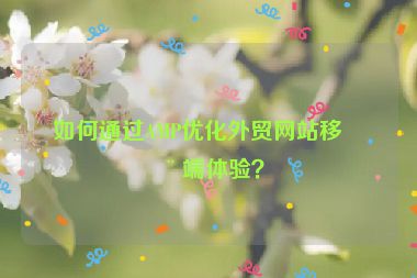 如何通過AMP優(yōu)化外貿(mào)網(wǎng)站移動端體驗？