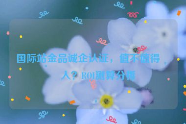 國際站金品誠企認(rèn)證，值不值得投入？ROI測算分析