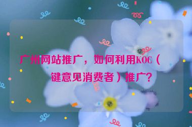 廣州網(wǎng)站推廣，如何利用KOC（關(guān)鍵意見(jiàn)消費(fèi)者）推廣？