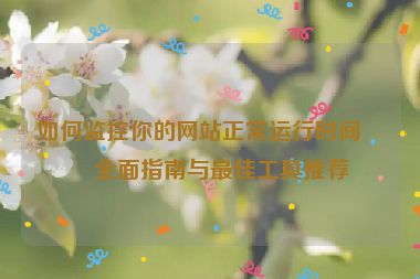 如何監(jiān)控你的網(wǎng)站正常運(yùn)行時(shí)間？全面指南與最佳工具推薦