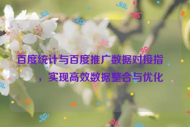 百度統(tǒng)計(jì)與百度推廣數(shù)據(jù)對(duì)接指南，實(shí)現(xiàn)高效數(shù)據(jù)整合與優(yōu)化