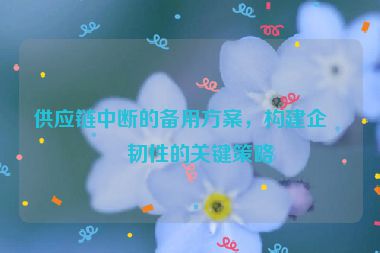 供應(yīng)鏈中斷的備用方案，構(gòu)建企業(yè)韌性的關(guān)鍵策略